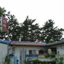 보라민박 - 신안군 박지도길 9 | 보라민박