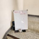 에스오일 옆 횡단보도 이미지