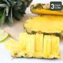 파인애플 이미지