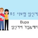 누리메디케어 | 비영주권자 호주에서 임신&amp;출산준비 - 사보험 임신커버 가입하기