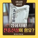 천종산삼잎까지 배양하여 만든, 조선 쌍화차 효능!