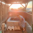 자유온천 | 후쿠오카 벳푸 온천 자유여행 숙소 호잔소 가이세키 후기