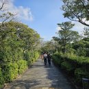 제주 천제연 난대림 이미지