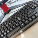티젠 녹차공장 | 올리브영 세일 기간 내돈내산 꼭 사야할 추천상품