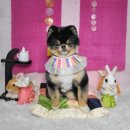 그루밍_light 이미지