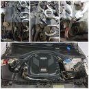 곰식이카 이미지