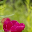 수변공원(1) 이미지