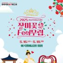 장미의거리7 이미지