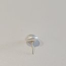 진주패션 이미지