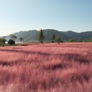 신소양체육공원 이미지