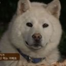 예