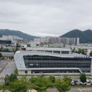 팔마수영장 이미지