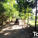 씽씽 리프레쉬 이미지