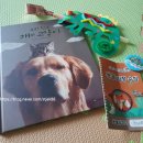 개와고양이 반려동물원 이미지