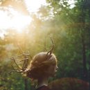 버들피리 이미지