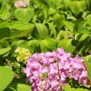 영당말근린공원 이미지