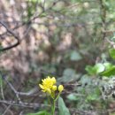 소사생태길(백일) 이미지