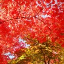 소요산탑 이미지