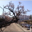 김해건설공업고등학교 이미지