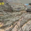 대덕장여관 이미지