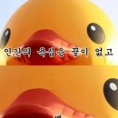 솔리드 인 해운대 | W05. 부산결혼준비 - 스튜디오 촬영 준비 바쁘다 바빠 [촬영용부케(플레르원), 속옷(유니클로/플라이...