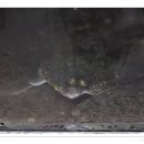 동신횟집 이미지