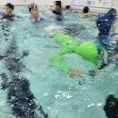 사랑샘어린이집 | 어린이집 오전보조교사 두달차 솔직후기