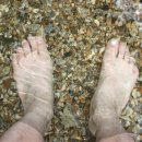 영주 금성대군 신단 이미지