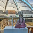 신라샘1 | 발굴의 현장 그대로 👑신라 공주님의 무덤 💧쪽샘유적박굴관