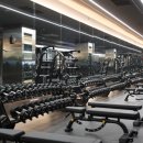 day one fitness 이미지