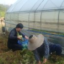 종현농장 이미지