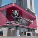 호랑이광장 이미지