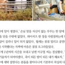 아크로세탁소 이미지