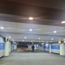 와우무인텔 이미지