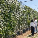 거제시농업개발원 이미지