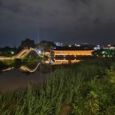 브라운도트덕진점 이미지