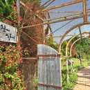 향나무민박 이미지