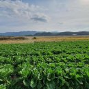 신기녹색농촌체험마을 이미지