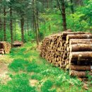 봉미산산촌마을 이미지