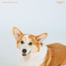 노블스튜디오 네이버블로그