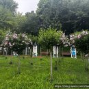 초야숯불갈비 이미지