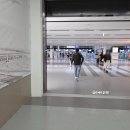 동만농장 | 1년만에 다시 다녀온 2025년 베트남 나트랑 여행