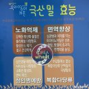 곰소쉼터중국관 | 부안 맛집 곰소쉼터 중국관 해물짬뽕, 오디 탕수육 솔직한 후기