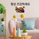 내 맘의 강물 / 손영진 - 정결 이미지