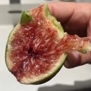 구주약국 | 251108~251110 #1. 감성대충전 웨이하이 여행+마사지, 무화과, 양다리구이, 바다풍경을 곁들인