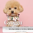 아띠지기 이미지