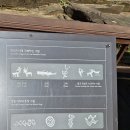 &lt;해파랑길&gt;부산 임랑해변, 울산 서생포 왜성, 간절곶,송정항,솔개해변, 처용암, 울주 천전리 각석, 울주...