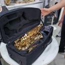 진성크리닝 | 셀마 알토악소스 신형 연주용악기 진성뮤직 부천점에서 구매한 후기