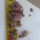 남구-065 이미지