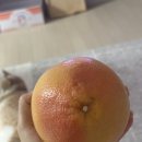 (유)도도랑